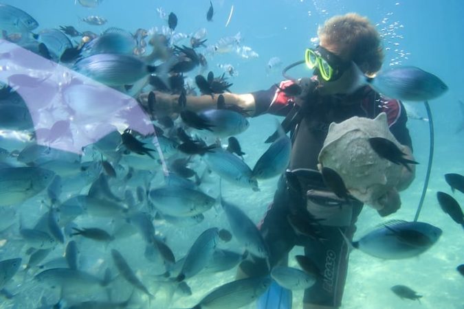 fish-expert-is-called-ichthyologist-fishtank-expert