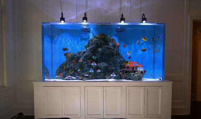 how much does tanked fish tanks cost