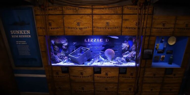 fish tank from sunken ship lizzie b