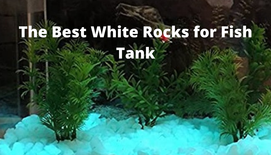 best white rocks for fish tank
