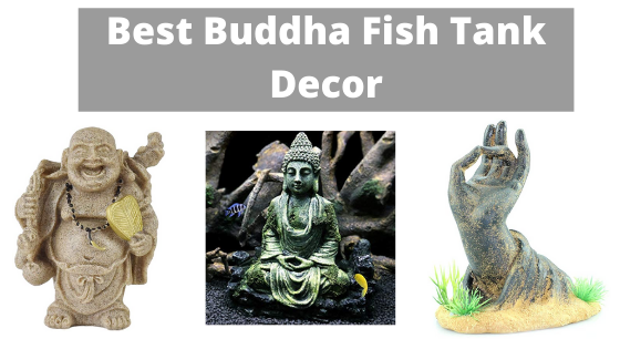 Best Buddha Fish Tank Decor