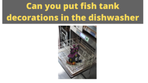 Can you put fish tank decorations in the dishwasher