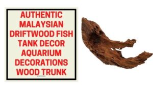Authentic Malaysian Driftwood Fish Tank Decor Aquarium Decorations Wood Trunk
