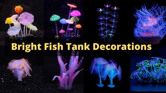 Bright Fish Tank Decorations