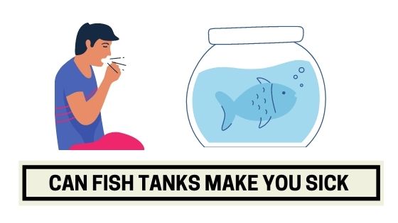 Can Fish Tanks Make You Sick