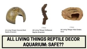 All Living Things Reptile Decor Aquarium: Safe?