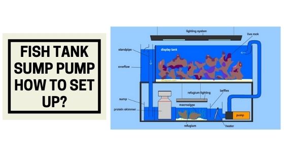 Fish Tank Sump Pump How to Set Up? Fishtank Expert