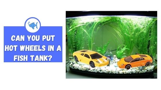 Can You Put Hot Wheels in a Fish Tank