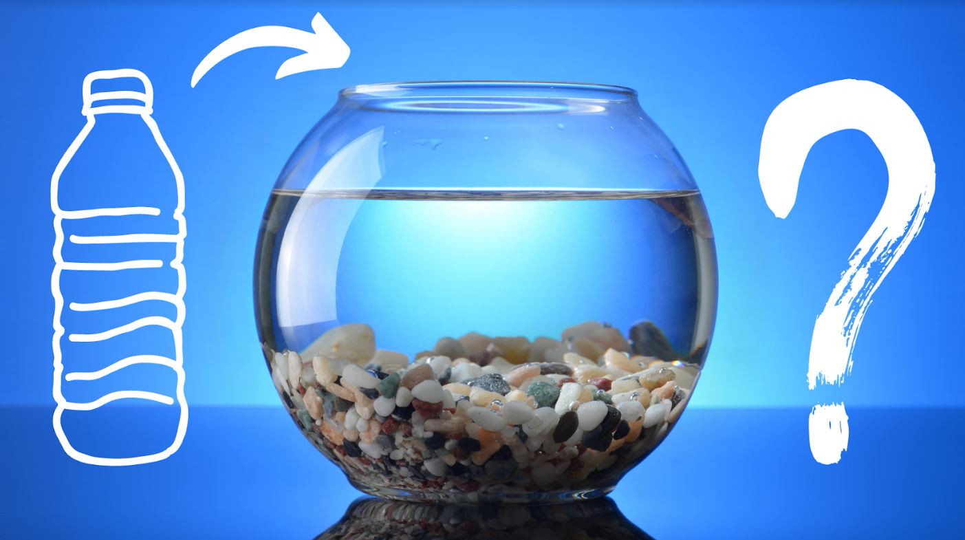 Is It Ok To Put Tap Water In A Fish Tank