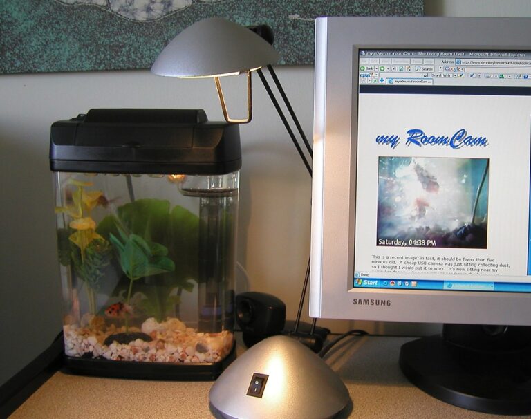 Furniture Suitable for Fish Tank Fishtank Expert