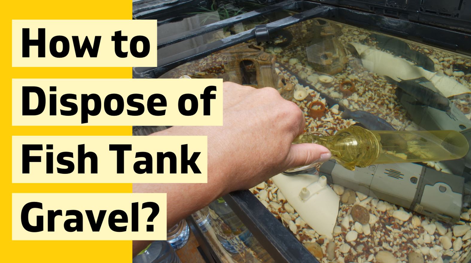 how-to-dispose-of-fish-tank-gravel-fishtank-expert