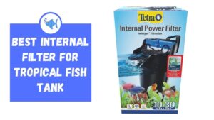 Best Internal Filter for Tropical Fish Tank