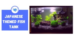 Best Japanese Themed Fish Tank