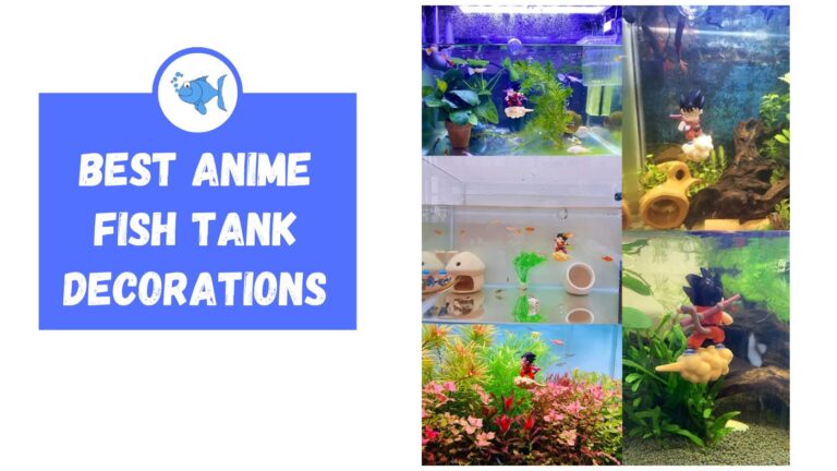 Best Anime Fish Tank Decorations - Fishtank Expert