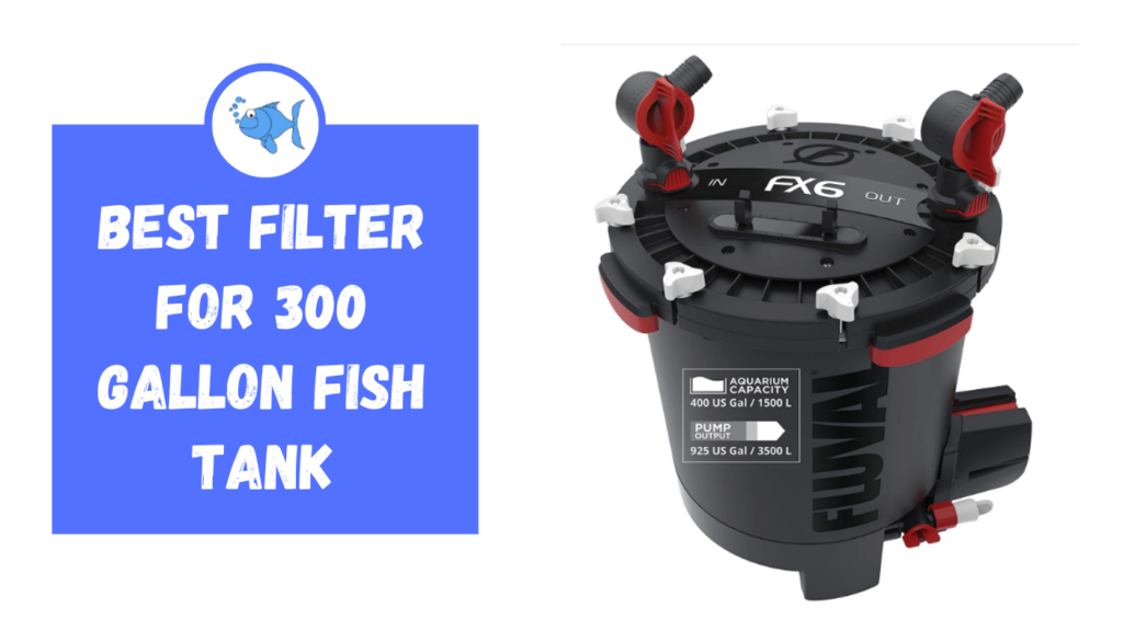 best filter for 300 gallon fish tank