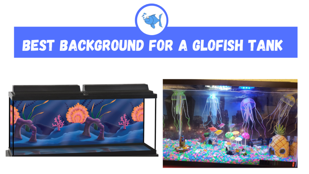 Best background for a Glofish tank