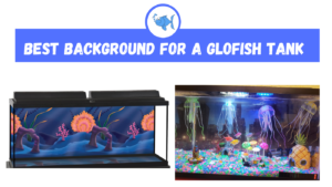 Best background for a Glofish tank