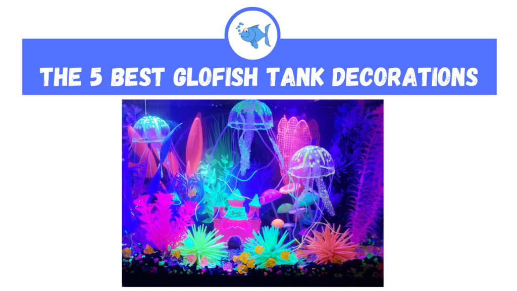 glofish tank decor