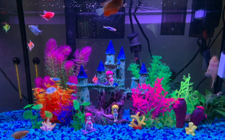 The 5 BEST Glofish Tank Decorations - Fishtank Expert