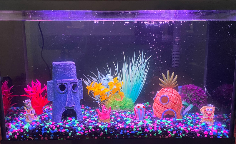 SpongeBob glofish decoration