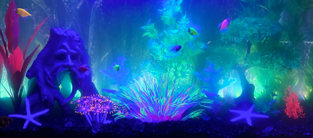 glofish tank decor ideas