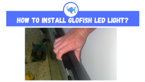 How to Install Glofish LED Light