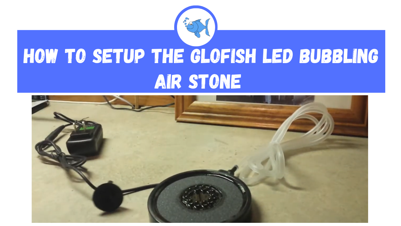 How to Setup the Glofish LED Bubbling Air Stone Fishtank Expert