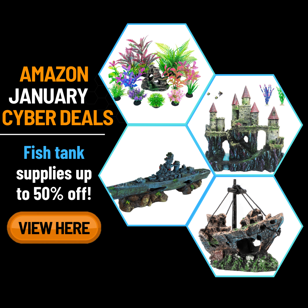 Extra Large Fish Tank Ornaments Fishtank Expert