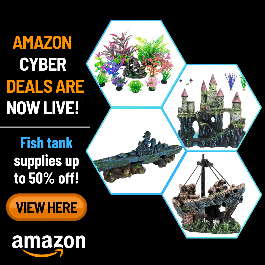 cheap fish tank supplies amazon